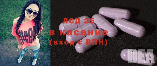 стафф Арсеньев