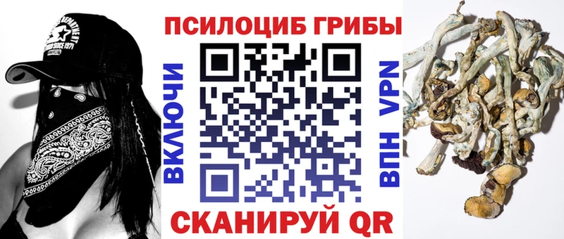 Галлюциногенные грибы Psilocybine cubensis Алдан