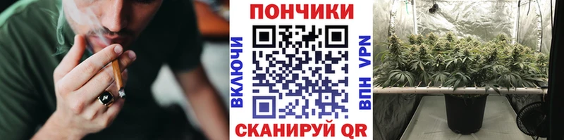 Конопля план  Алдан 